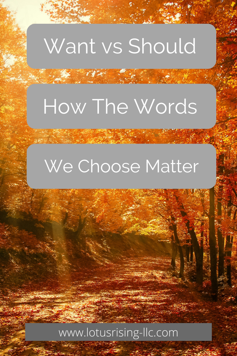 Should VS Want. How The Words We Choose Matter