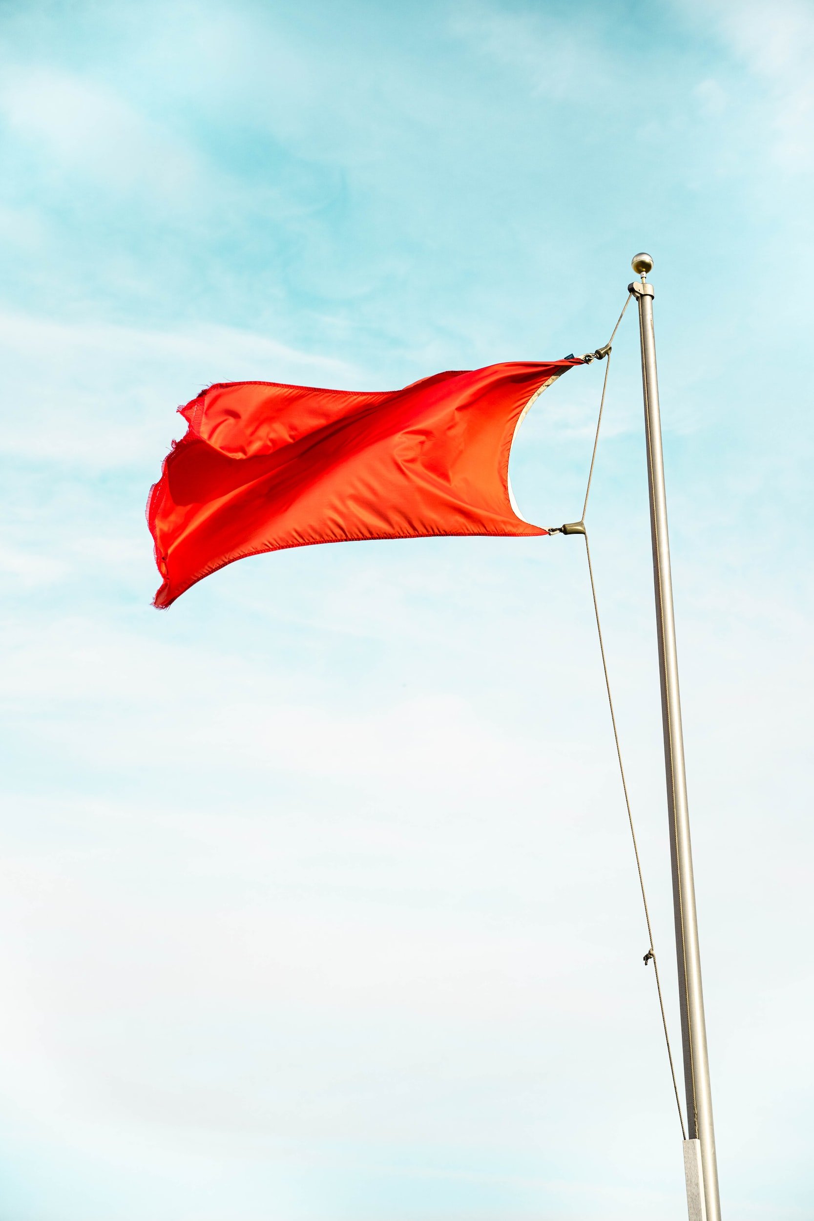 Why You Ignore Red Flags