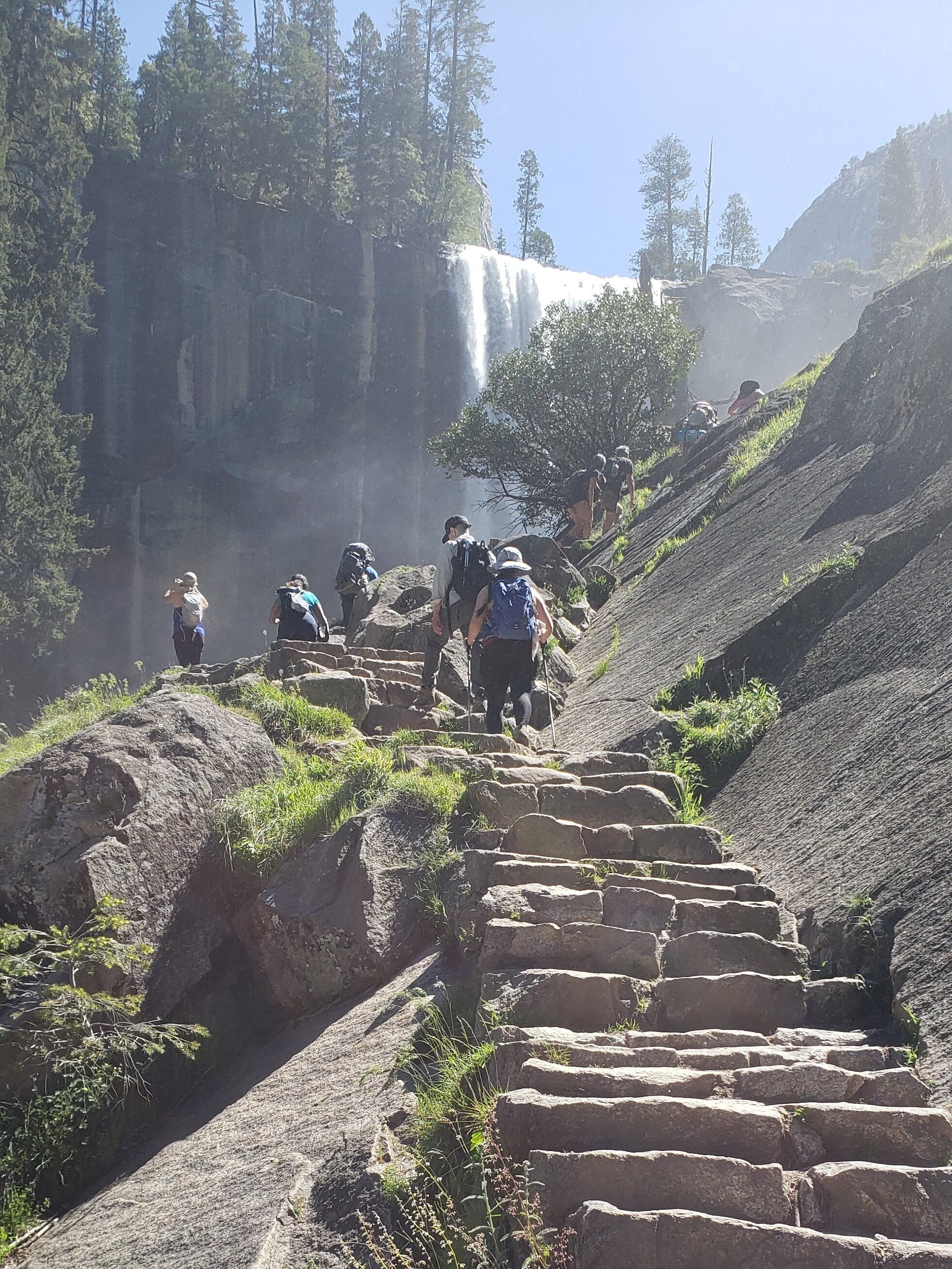 Therapy Is Like Hiking